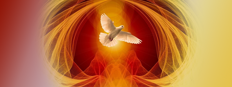 Abstract artwork of a white dove in flight surrounded by swirling red, orange, and gold light patterns, warm reverent mood